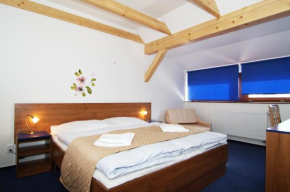 Гостиница Hotel Pod Sluncem  Тржебиз